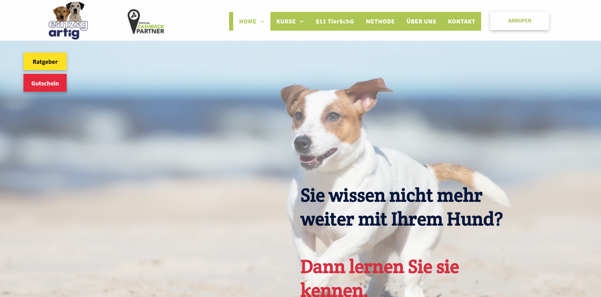 Hundeschule Einzigartig